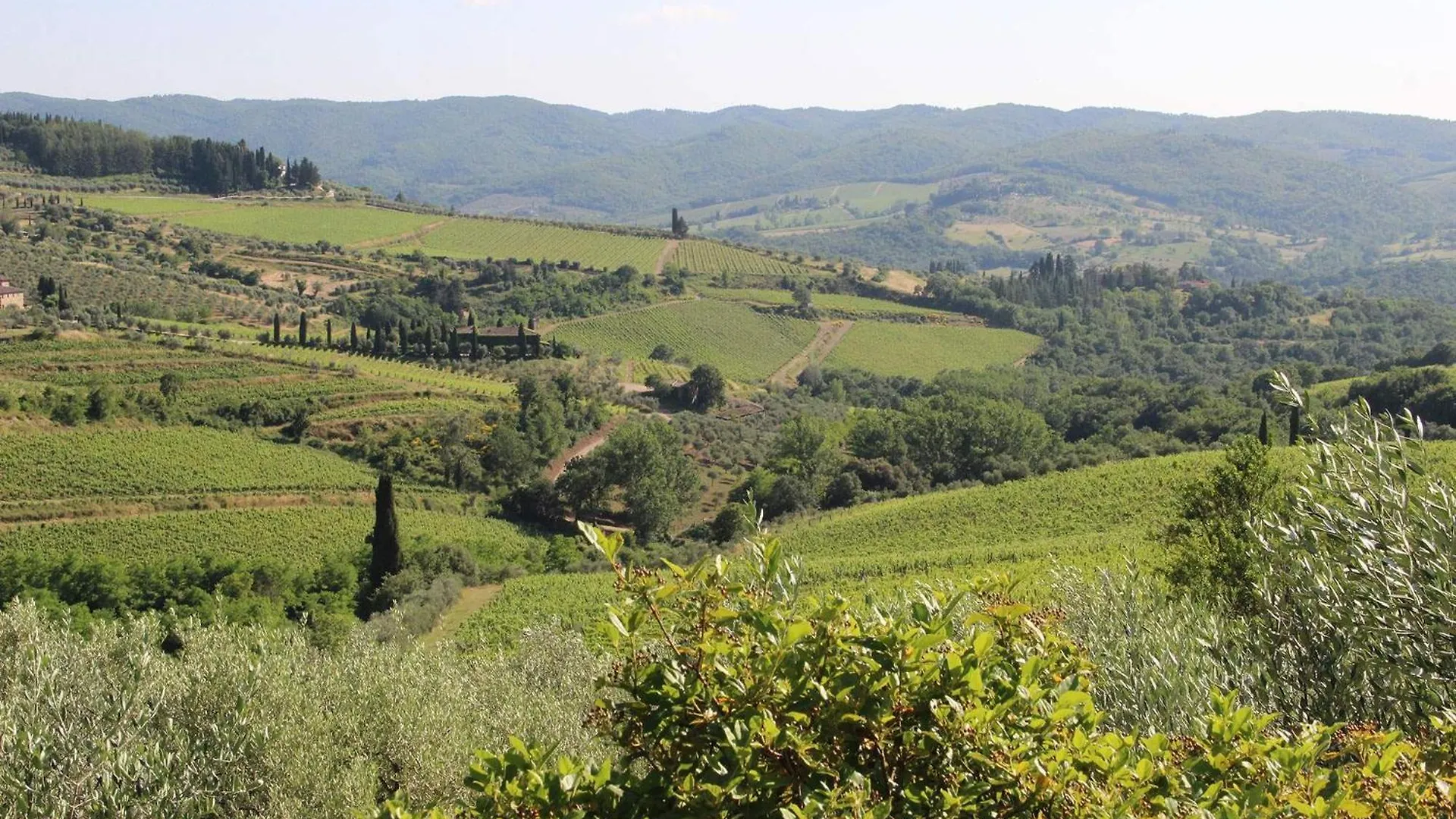 Villa Amaranto Panzano in Chianti
